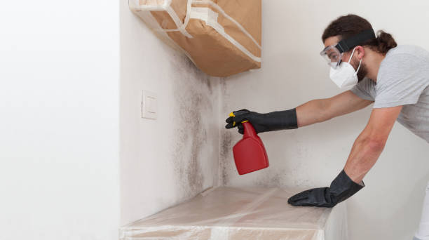 Professional Attic Mold Remediation technician working in Seaboard, NC